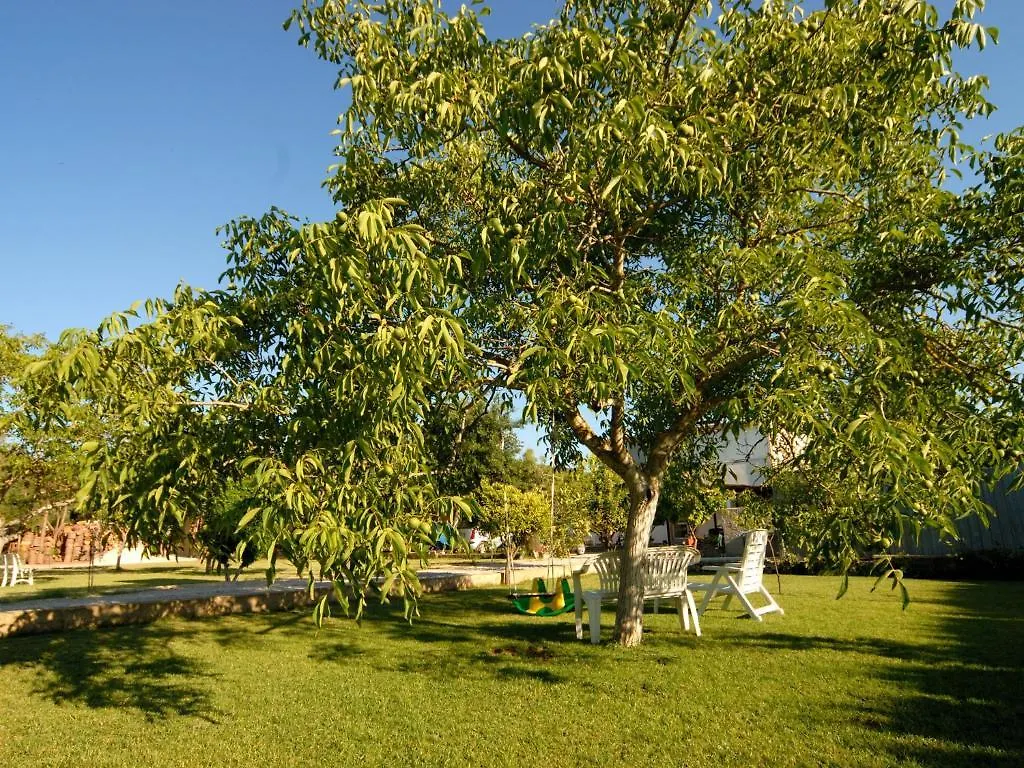 B&B Da Giovanna Fertilia