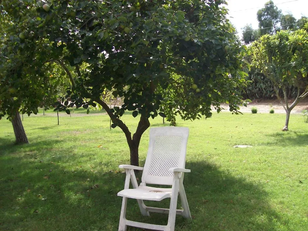 Bed & Breakfast B&B Da Giovanna Fertilia